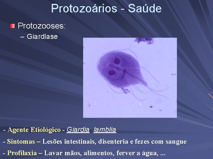 Protozoários - Saúde Protozooses: – Giardíase - Agente Etiológico - Giardia lamblia - Sintomas