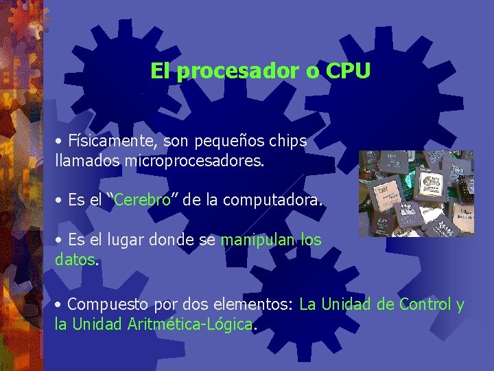 El procesador o CPU • Físicamente, son pequeños chips llamados microprocesadores. • Es el