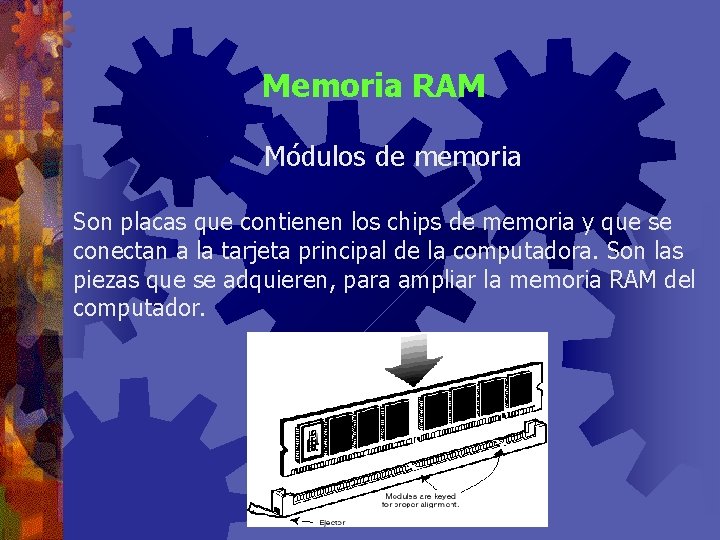 Memoria RAM Módulos de memoria Son placas que contienen los chips de memoria y