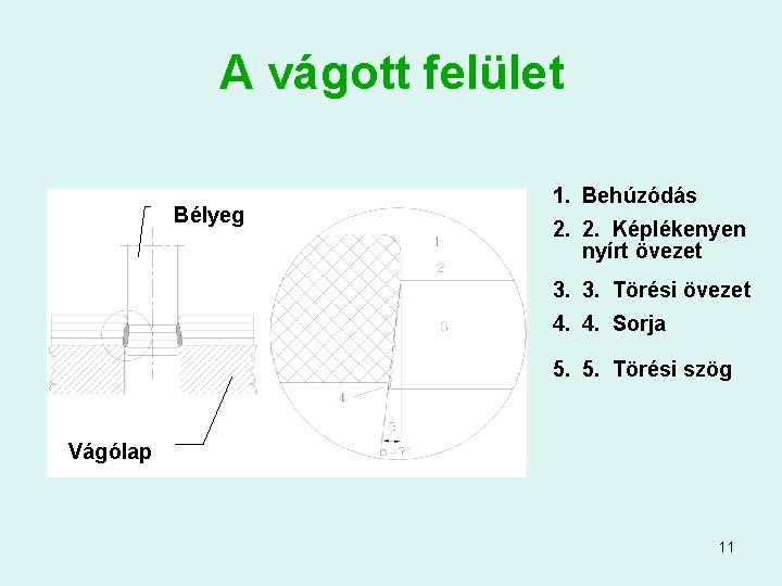 A vágott felület Bélyeg 1. Behúzódás 2. 2. Képlékenyen nyírt övezet 3. 3. Törési