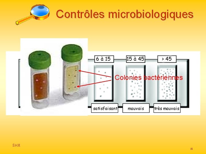 Contrôles microbiologiques Colonies bactériennes SHR 28 