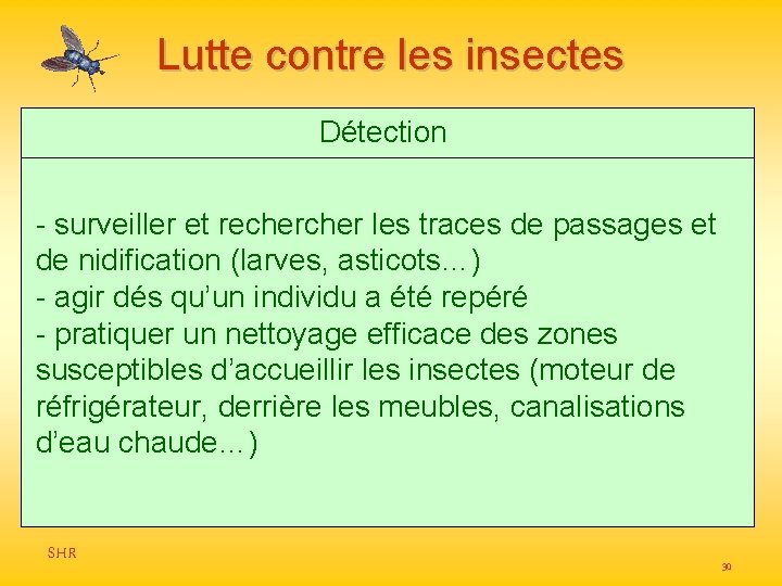 Lutte contre les insectes Détection - surveiller et recher les traces de passages et