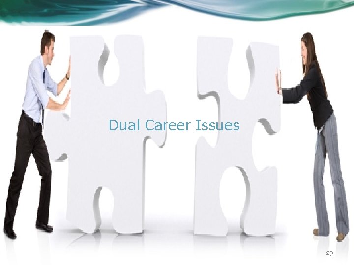 Dual Career Issues 29 