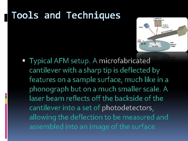 Tools and Techniques Typical AFM setup. A microfabricated cantilever with a sharp tip is