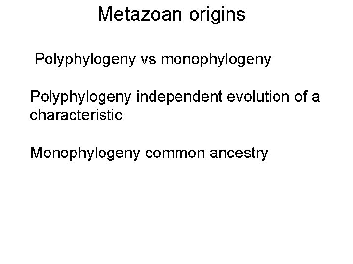 Metazoan origins Polyphylogeny vs monophylogeny Polyphylogeny independent evolution of a characteristic Monophylogeny common ancestry