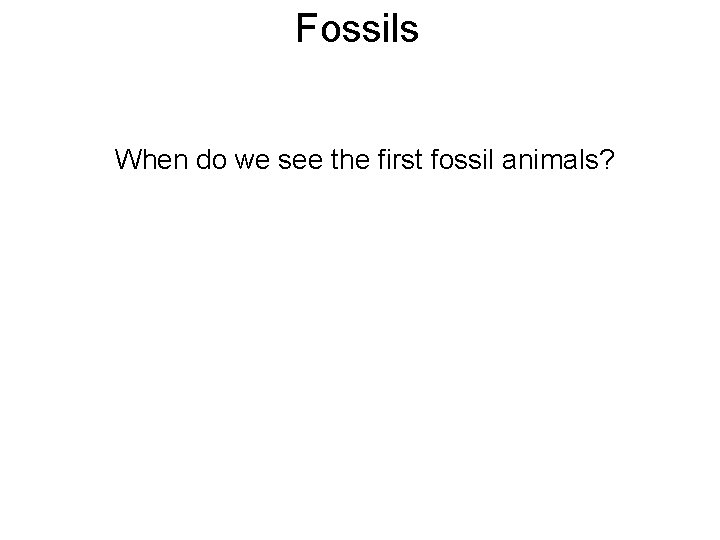 Fossils When do we see the first fossil animals? 