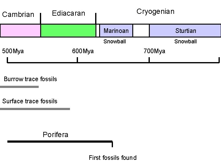 Cambrian Cryogenian Ediacaran 500 Mya Marinoan Sturtian Snowball 600 Mya Burrow trace fossils Surface