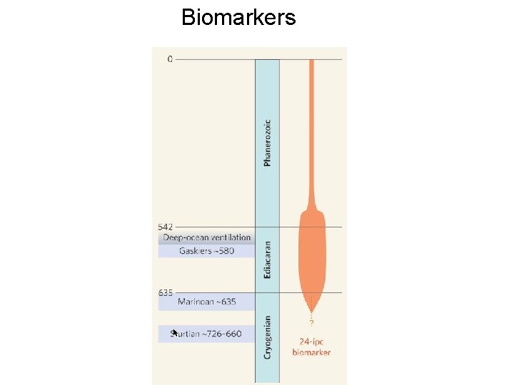 Biomarkers 