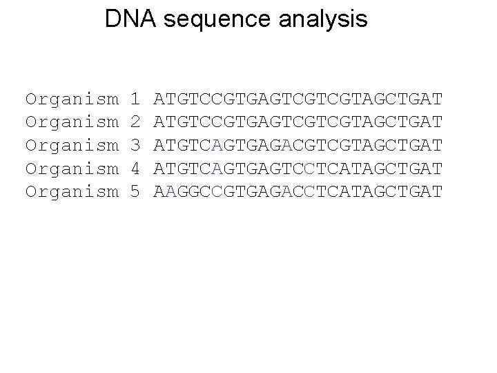 DNA sequence analysis Organism Organism 1 2 3 4 5 ATGTCCGTGAGTCGTCGTAGCTGAT ATGTCAGTGAGACGTCGTAGCTGAT ATGTCAGTGAGTCCTCATAGCTGAT AAGGCCGTGAGACCTCATAGCTGAT