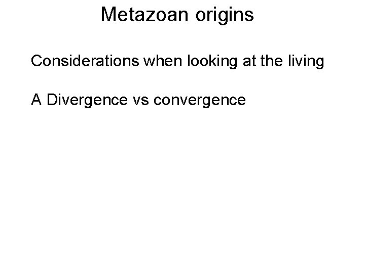 Metazoan origins Considerations when looking at the living A Divergence vs convergence 