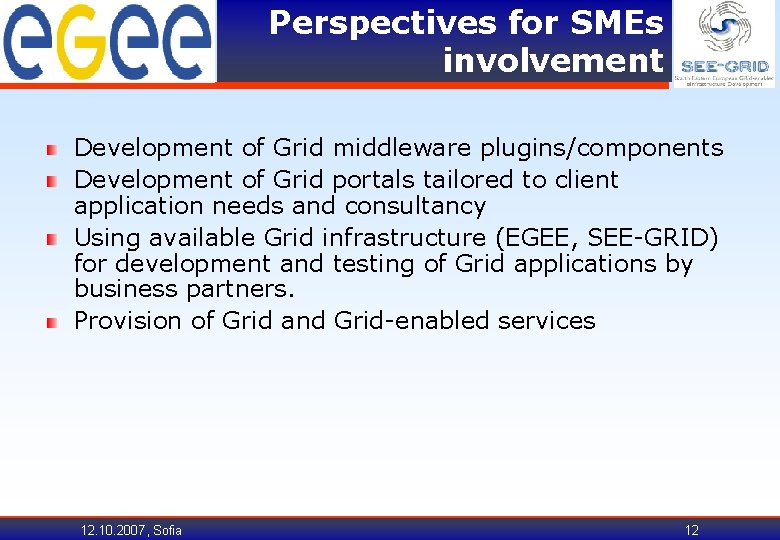 Perspectives for SMEs involvement Development of Grid middleware plugins/components Development of Grid portals tailored