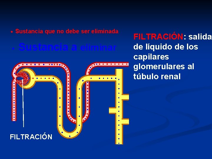 Sustancia que no debe ser eliminada Sustancia a eliminar FILTRACIÓN: salida de líquido de