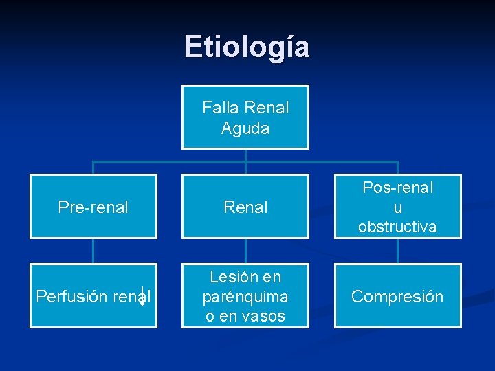 Etiología Falla Renal Aguda Pre-renal Renal Pos-renal u obstructiva Perfusión renal Lesión en parénquima