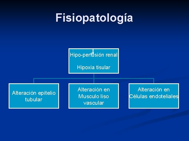 Fisiopatología Hipo-perfusión renal Hipoxia tisular Alteración epitelio tubular Alteración en Musculo liso vascular Alteración