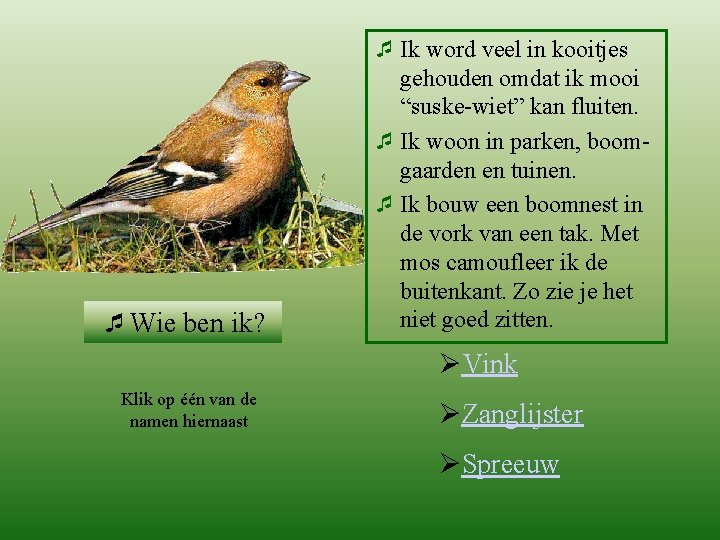 vink ¯Wie ben ik? ¯ Ik word veel in kooitjes gehouden omdat ik mooi