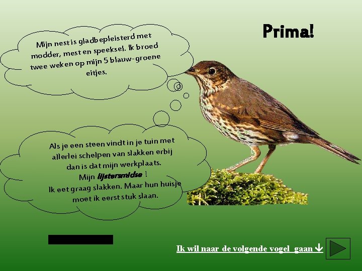 Prima! erd met t is le p e b d la g Mijn nest