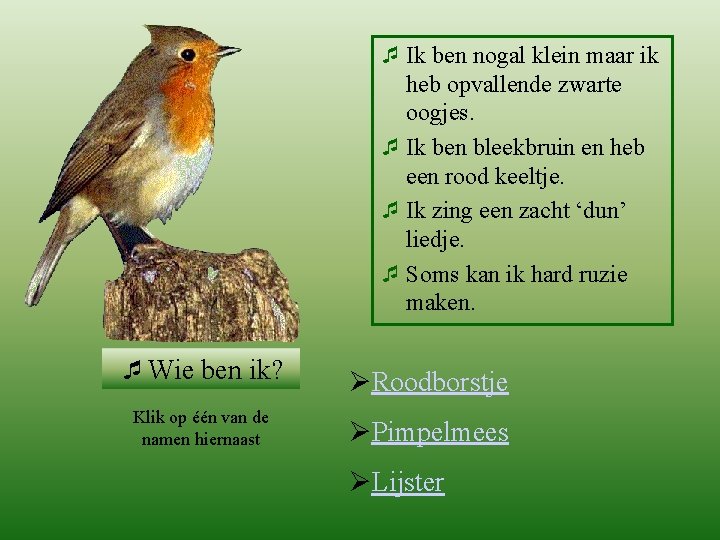 roodborstje ¯Wie ben ik? Klik op één van de namen hiernaast ¯ Ik ben