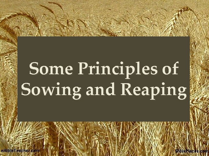 Some Principles of { Sowing and Reaping 