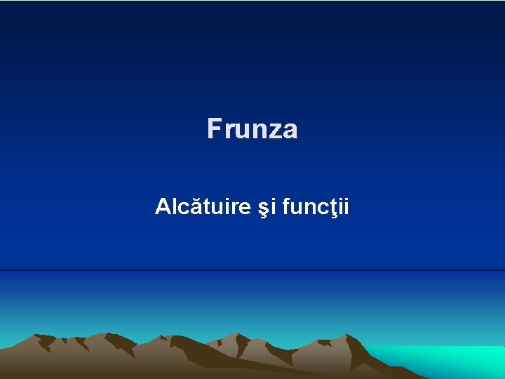 Frunza Alcătuire şi funcţii 