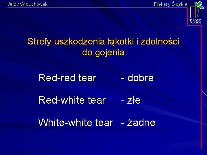 Jerzy Widuchowski Piekary Śląskie Strefy uszkodzenia łąkotki i zdolności do gojenia Red-red tear -