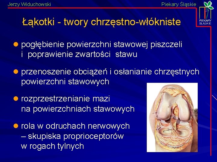 Jerzy Widuchowski Piekary Śląskie Łąkotki - twory chrzęstno-włókniste l pogłębienie powierzchni stawowej piszczeli i