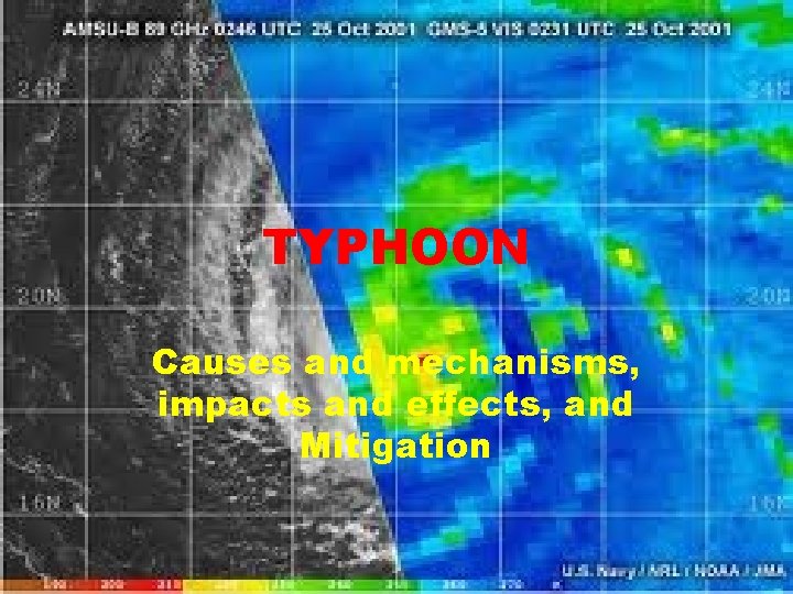 TYPHOON Causes and mechanisms, impacts and effects, and Mitigation 