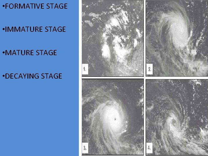  • FORMATIVE STAGE • IMMATURE STAGE • DECAYING STAGE 