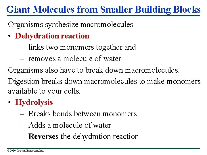 Giant Molecules from Smaller Building Blocks Organisms synthesize macromolecules • Dehydration reaction – links