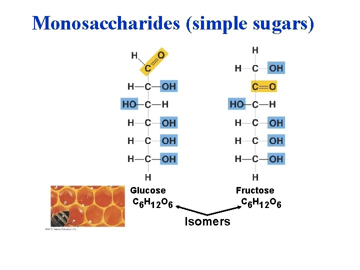 Monosaccharides (simple sugars) Glucose C 6 H 12 O 6 Fructose C 6 H