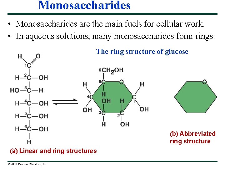 Monosaccharides • Monosaccharides are the main fuels for cellular work. • In aqueous solutions,