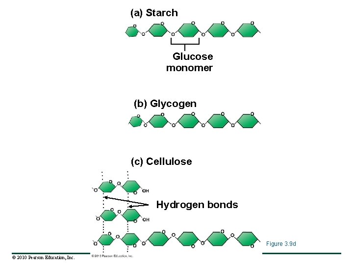 (a) Starch Glucose monomer (b) Glycogen (c) Cellulose Hydrogen bonds Figure 3. 9 d