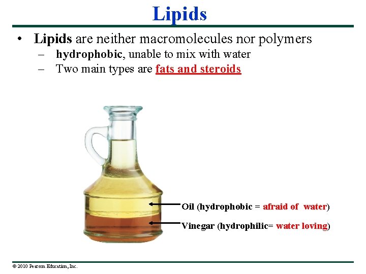Lipids • Lipids are neither macromolecules nor polymers – hydrophobic, unable to mix with