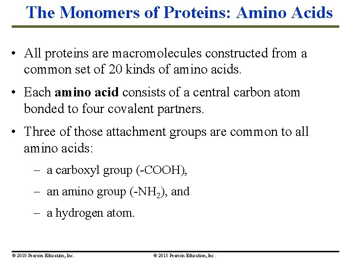 The Monomers of Proteins: Amino Acids • All proteins are macromolecules constructed from a