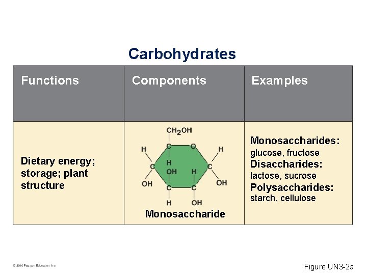 Carbohydrates Functions Components Examples Monosaccharides: glucose, fructose Dietary energy; storage; plant structure Disaccharides: lactose,