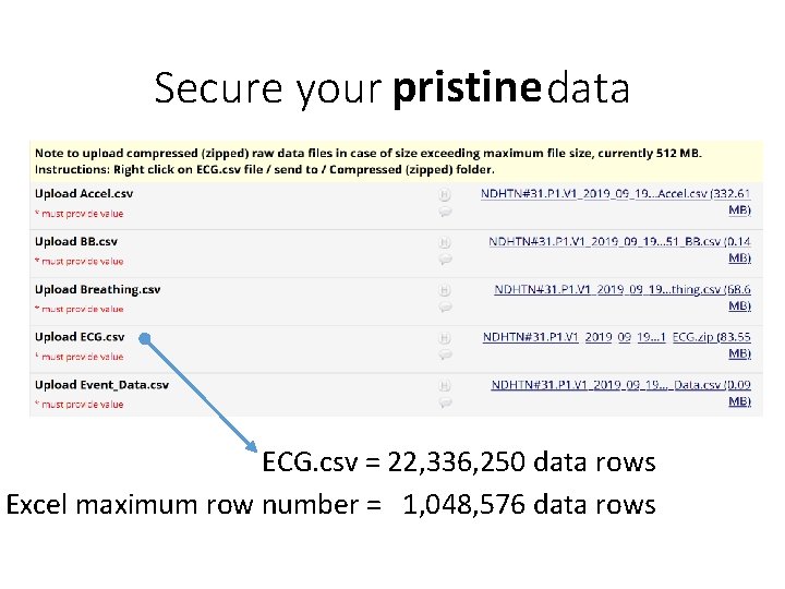 Secure your pristine data ECG. csv = 22, 336, 250 data rows Excel maximum