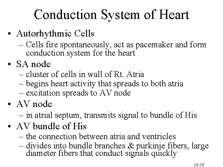 Conduction System of Heart • Autorhythmic Cells – Cells fire spontaneously, act as pacemaker Conduction System of Heart • Autorhythmic Cells – Cells fire spontaneously, act as pacemaker