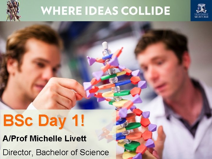BSc Day 1! A/Prof Michelle Livett Director, Bachelor of Science DAY 1 DAY 1
