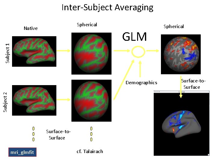 Inter-Subject Averaging Spherical Native Subject 1 GLM Subject 2 Demographics Surface-to. Surface mri_glmfit cf.