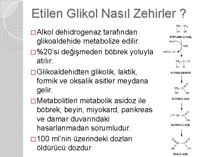 Etilen Glikol Nasıl Zehirler ? � Alkol dehidrogenaz tarafından glikoaldehide metabolize edilir. � %20’si