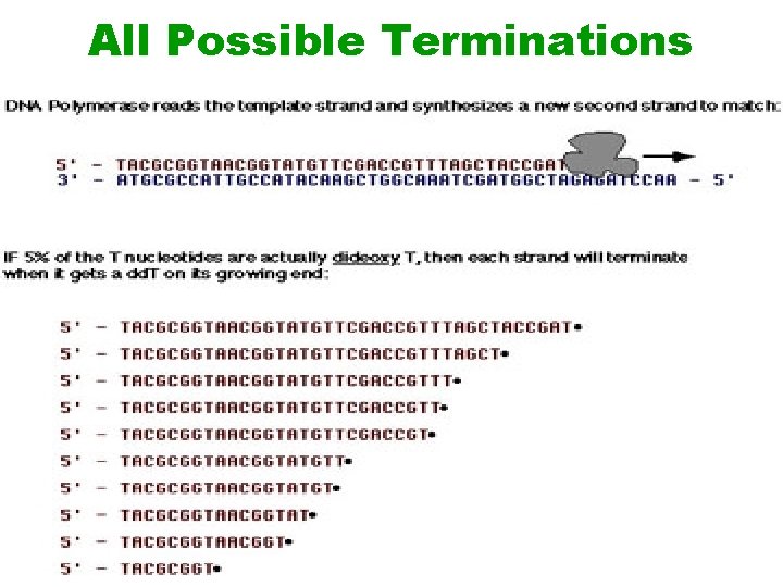 All Possible Terminations 