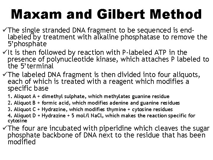 Maxam and Gilbert Method üThe single stranded DNA fragment to be sequenced is endlabeled