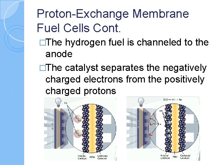 Proton-Exchange Membrane Fuel Cells Cont. �The hydrogen fuel is channeled to the anode �The