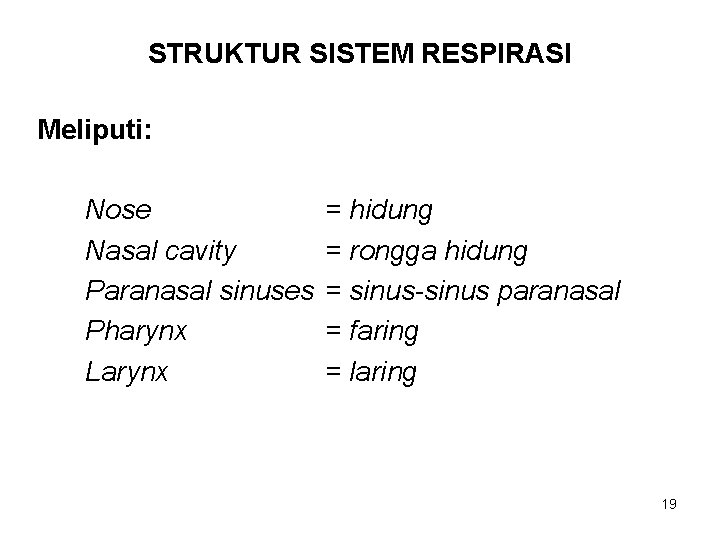 STRUKTUR SISTEM RESPIRASI Meliputi: Nose Nasal cavity Paranasal sinuses Pharynx Larynx = hidung =