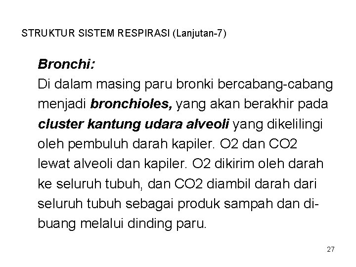 STRUKTUR SISTEM RESPIRASI (Lanjutan-7) Bronchi: Di dalam masing paru bronki bercabang-cabang menjadi bronchioles, yang