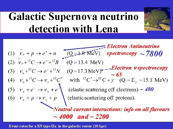 Galactic Supernova neutrino detection with Lena Electron Antineutrino spectroscopy ~7800 Electron n spectroscopy ~