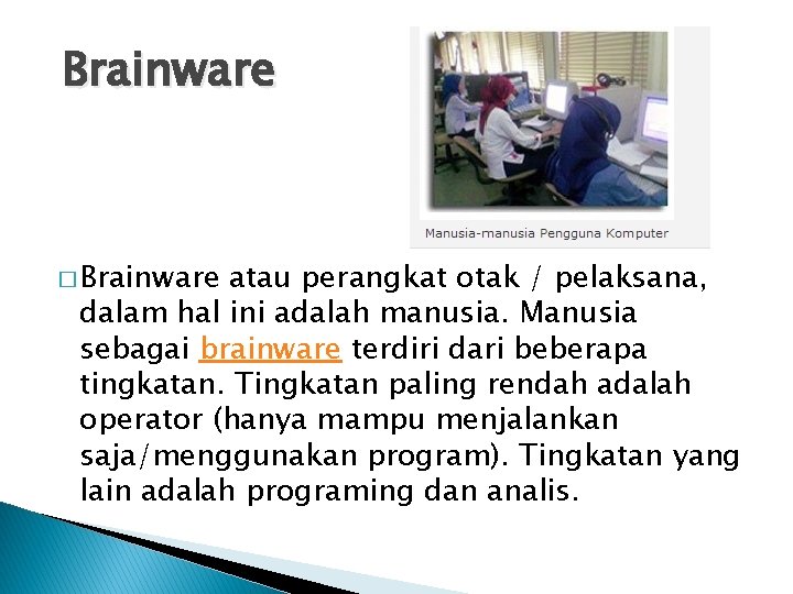  Brainware � Brainware atau perangkat otak / pelaksana, dalam hal ini adalah manusia.