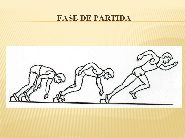 FASE DE PARTIDA 