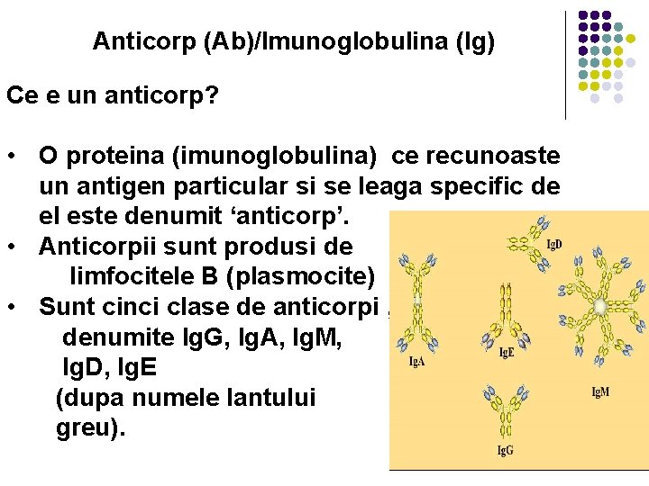 imunoglobuline specifice antihepatita b
