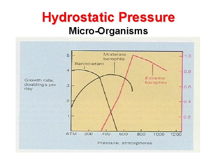 Hydrostatic Pressure Micro-Organisms 
