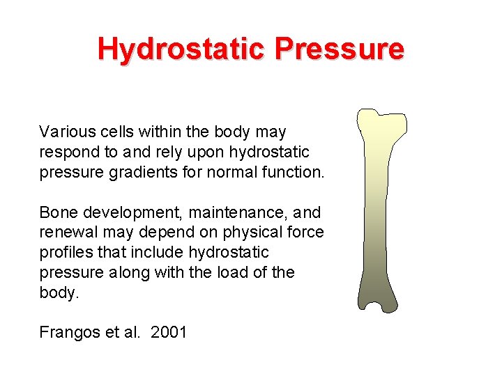 Hydrostatic Pressure Various cells within the body may respond to and rely upon hydrostatic